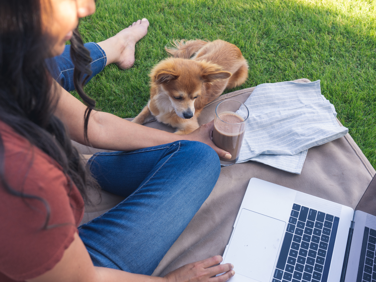 IsaLean Shake Plant Based