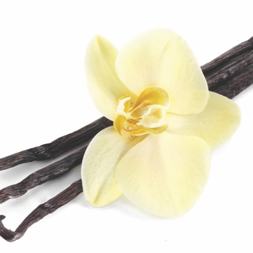 Whole Blend IsaLean Shake