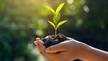 Two hands holding a small green plant growing from soil, set against a softly blurred natural background, symbolizing sustainability and growth.
